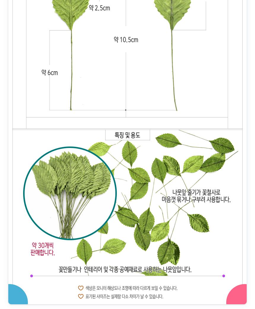 나뭇잎 식별