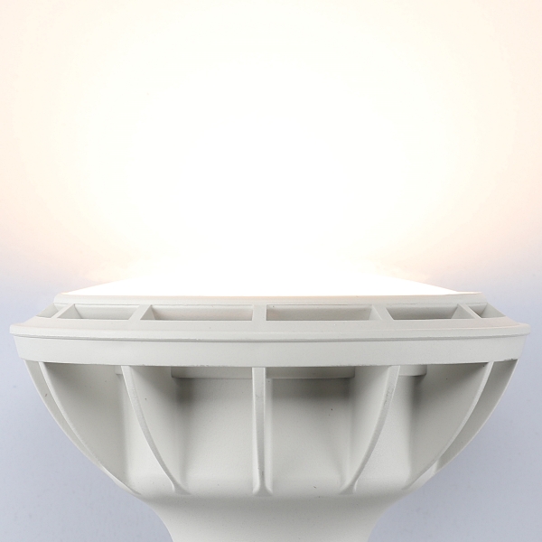 PAR30 LED W 화이트 15W 전구 확산형 in-380867 전구 LED전구 내장형전구 내장형LED램프 내정형LED전구 컨버터내장형램프 거실전구 사무실전구