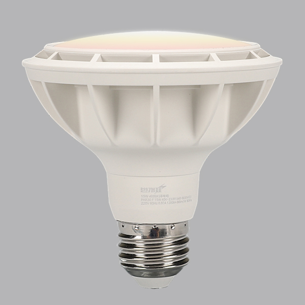 PAR30 LED(신형) 15W 전구 확산 KS in-448917 전구 LED전구 내장형전구 내장형LED램프 내정형LED전구 컨버터내장형램프 거실전구 사무실전구