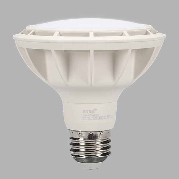 PAR30 LED(신형) 15W 주광 확산 KS in-448916 전구 LED전구 내장형전구 내장형LED램프 내정형LED전구 컨버터내장형램프 거실전구 사무실전구