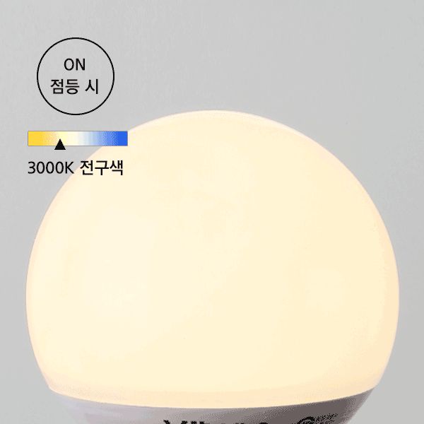 볼구 LED 12W G95 롱타입 전구 KS in-56437 전구 일반전구 볼전구 사무실전구 가정용전구 사무실볼전구 가정용볼전구 일반볼전구 교체전구 교체볼전구