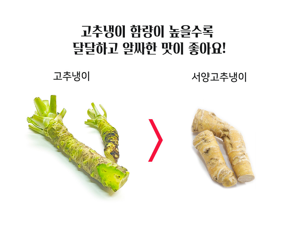 코우 생와사비 800g X 20/생와사비/코우생와사비/짜먹는생와사비/짜먹는고추냉이/생고추냉이/냉동생와사비/