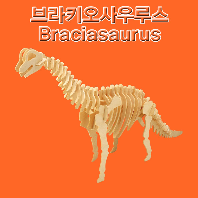 향앤미과학 브라키오사우루스/공룡학습/공룡공부/공룡만들기/학습용공룡/교육용공룡/DIY공룡/만들기공룡/과