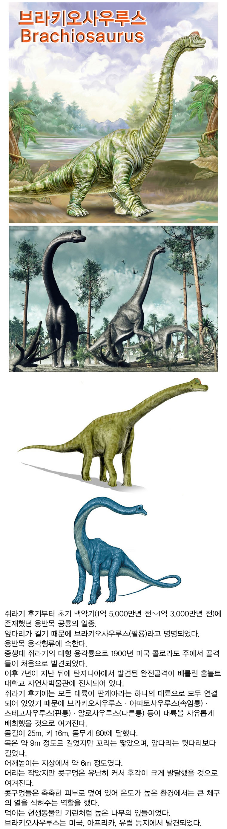 향앤미과학 브라키오사우루스/공룡학습/공룡공부/공룡만들기/학습용공룡/교육용공룡/DIY공룡/만들기공룡/과
