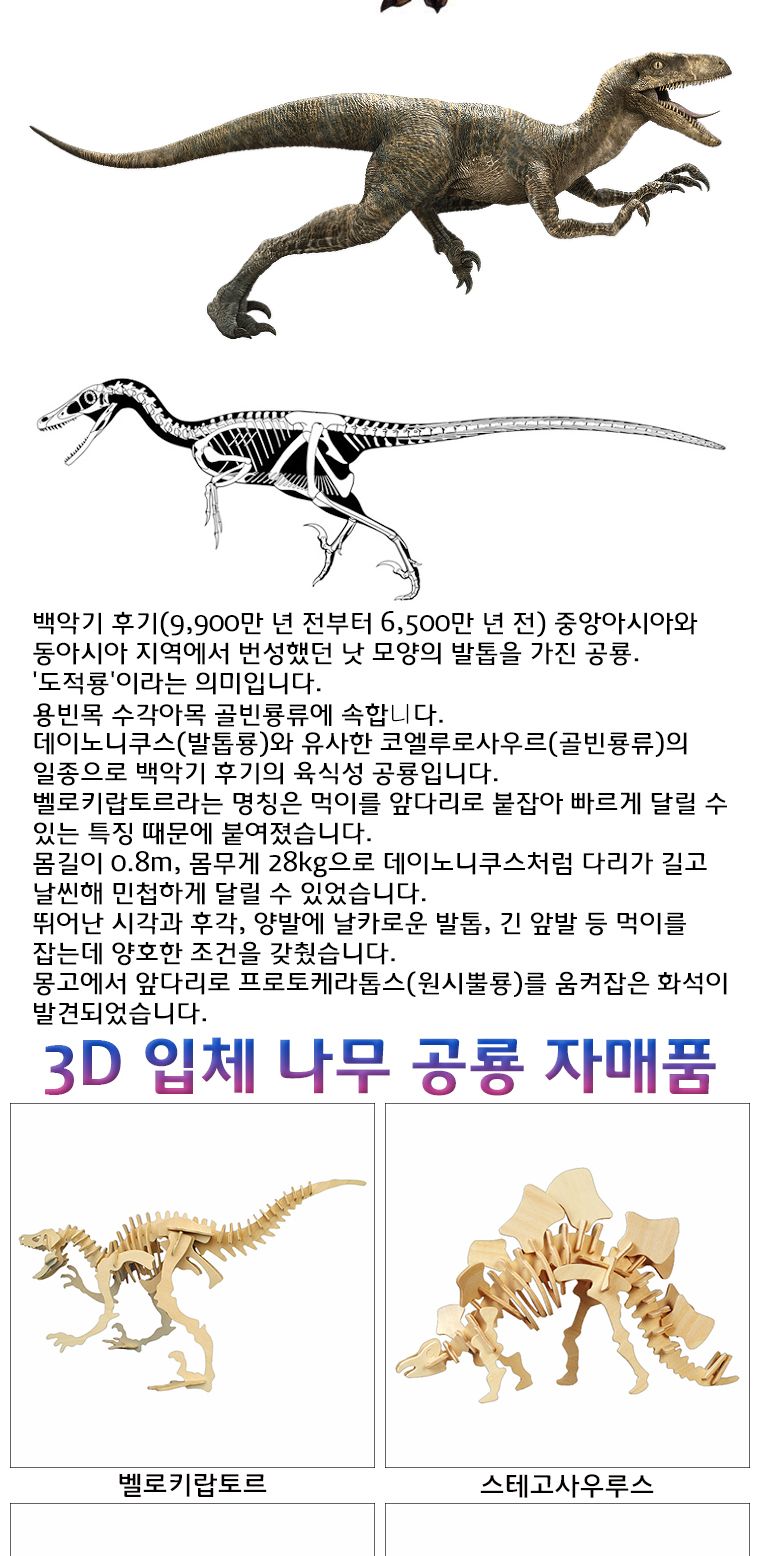 3D 입체 나무 공룡 벨로키랍토르/공룡학습/공룡공부/공룡만들기/학습용공룡/교육용공룡/DIY공룡/만들기공룡