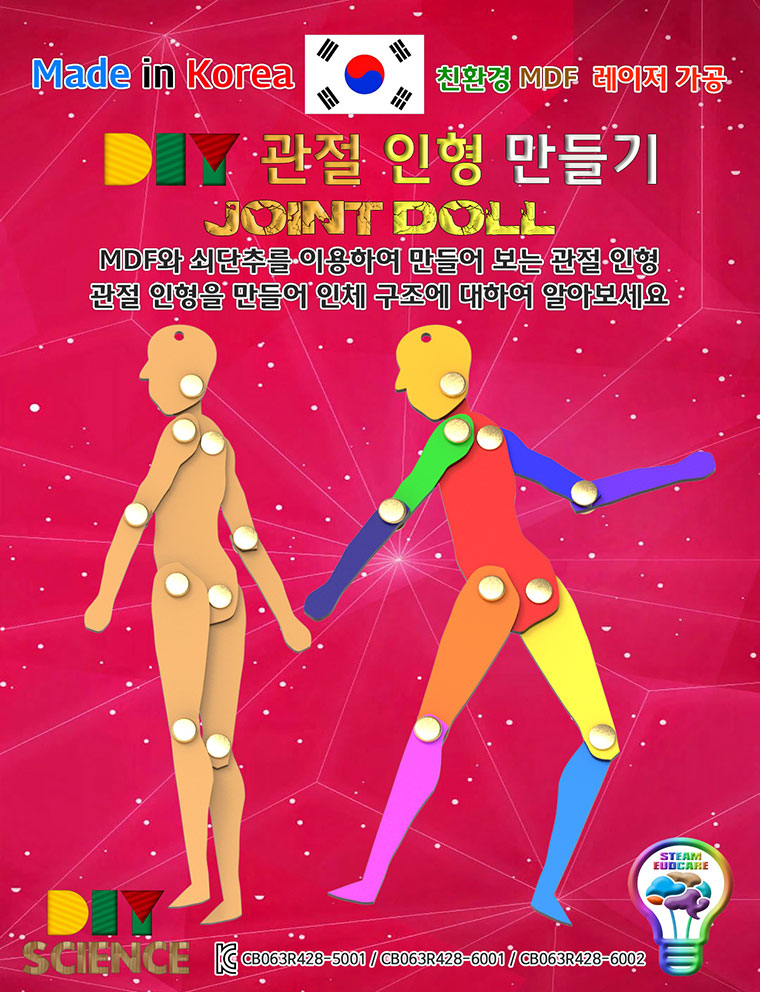 DIY 관절 인형 만들기 과학 과학상자 과학키트 과학장난감 관절인형 관절인형만들기 인체구조관찰 인형만들기 인체구조학습 관절인형제작