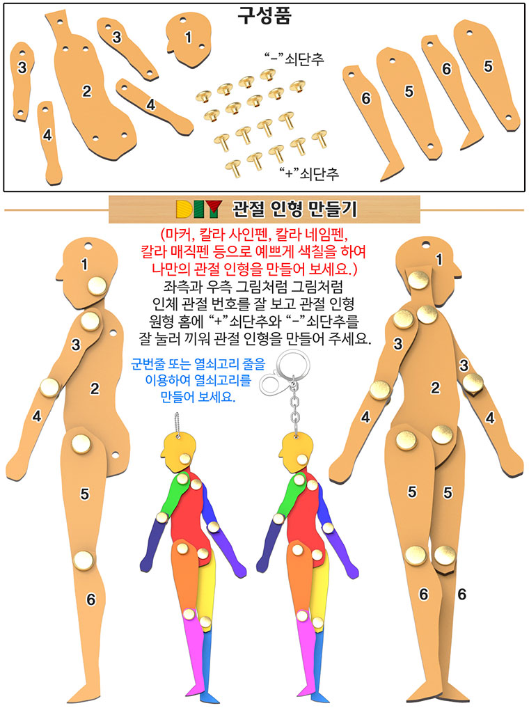 DIY 관절 인형 만들기 과학 과학상자 과학키트 과학장난감 관절인형 관절인형만들기 인체구조관찰 인형만들기 인체구조학습 관절인형제작