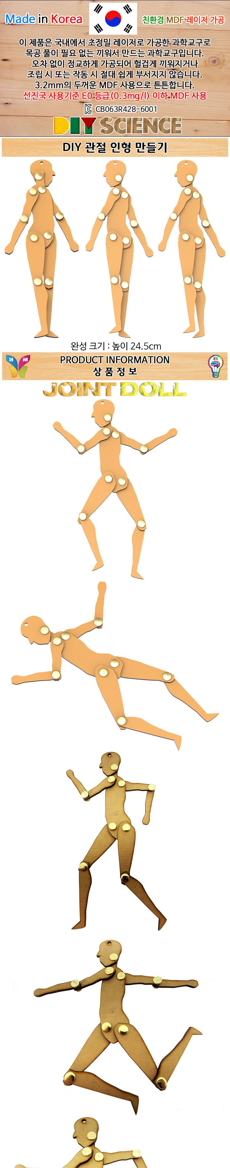 DIY 관절 인형 만들기 과학 과학상자 과학키트 과학장난감 관절인형 관절인형만들기 인체구조관찰 인형만들기 인체구조학습 관절인형제작