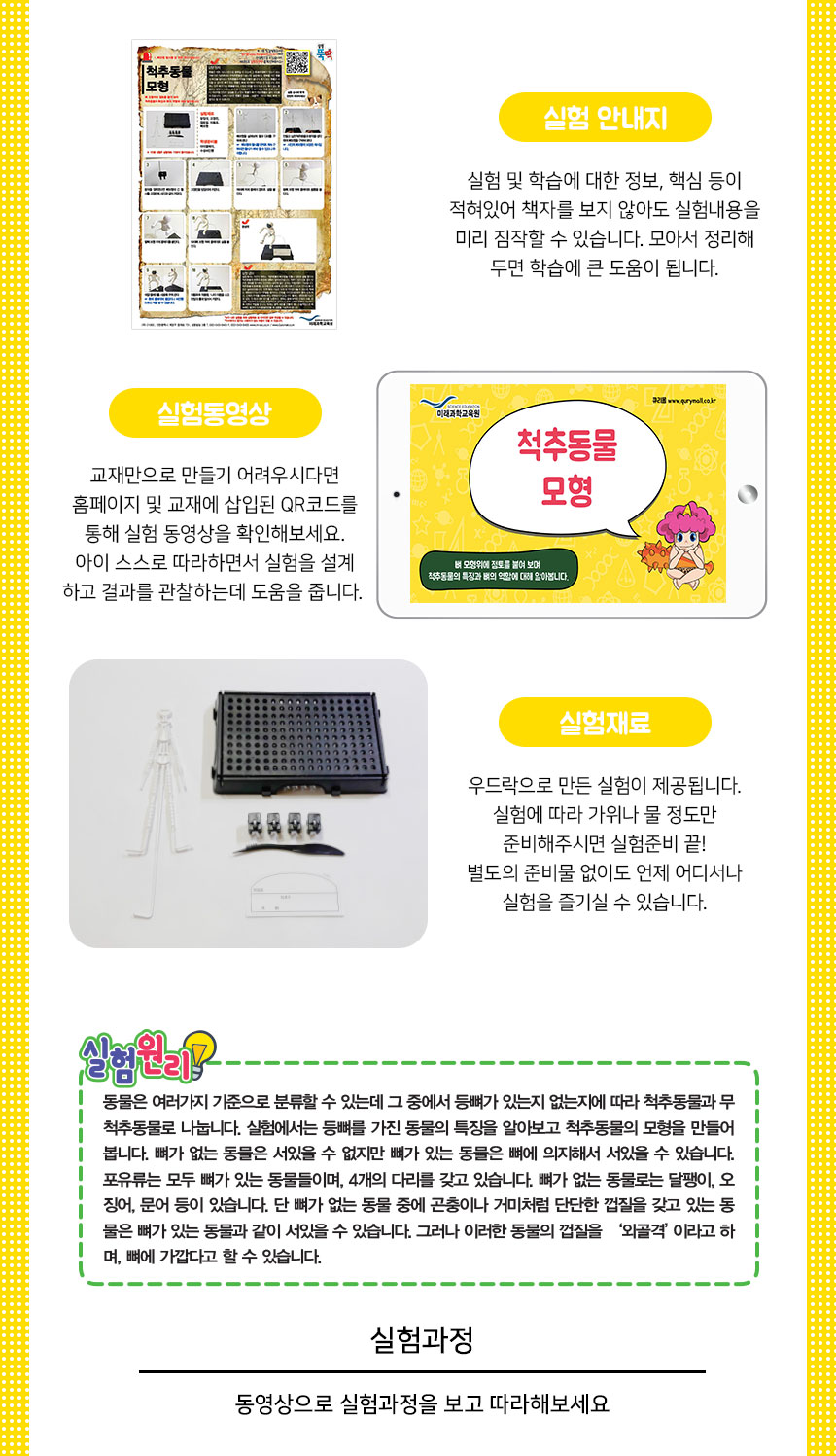 척추 동물 모형 만들기 1인 세트 척추동물모형 척추동물모형교구 교구모형 척추동물관찰모형 과학교구 과학모형 모형 학습모형 과학학습교구 과학학습모형