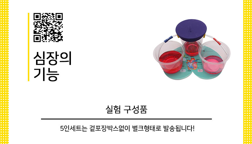 심장의 기능 만들기 5인 세트 심장의기능 심장의기능만들기 심장의기능학습 학습교구 과학놀이 과학상자 과학장난감 과학수업교구 과학놀이키트 과학수업키트