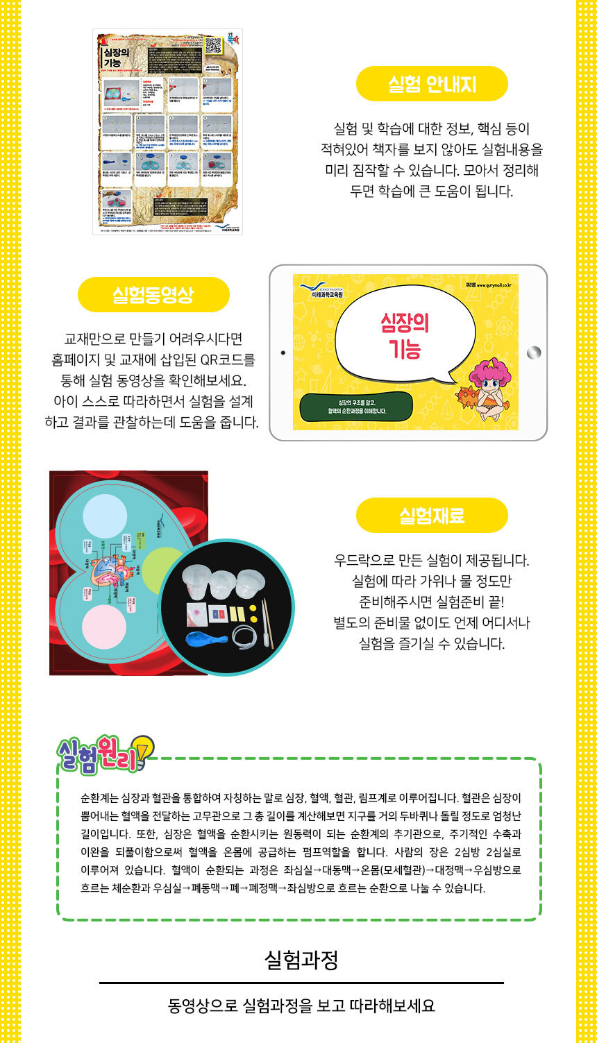 심장의 기능 만들기 5인 세트 심장의기능 심장의기능만들기 심장의기능학습 학습교구 과학놀이 과학상자 과학장난감 과학수업교구 과학놀이키트 과학수업키트
