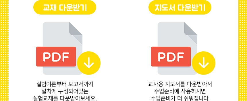 NEW 광섬유 오뚝이 만들기 5인 세트 광섬유오뚝이 광섬유오뚝이만들기 오뚝이 오뚝이만들기 과학놀이 과학상자 과학장난감 과학수업교구 과학놀이키트 과학수업키트