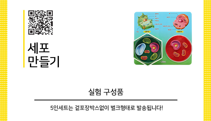 세포만들기 5인세트 세포만들기실험 세포만들기관찰 세포만들기학습 세포만들기교구 DIY세포만들기 세포만들기과학실험 어린이세포만들기교구 키즈세포만들기교구 초등과학실험 초등과학교구