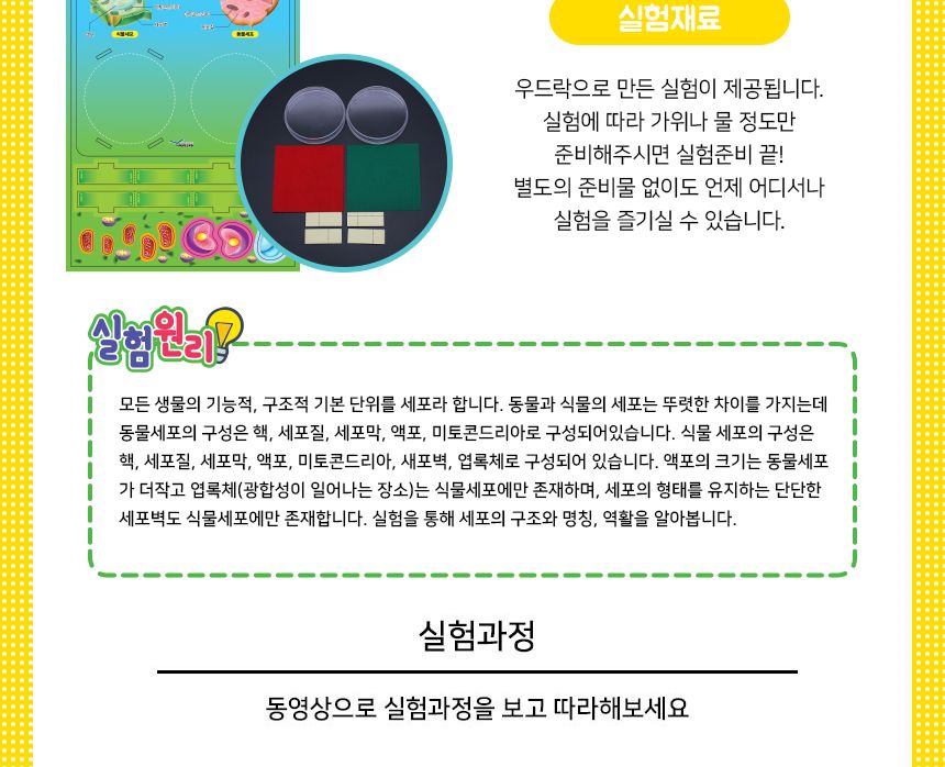 세포만들기 5인세트 세포만들기실험 세포만들기관찰 세포만들기학습 세포만들기교구 DIY세포만들기 세포만들기과학실험 어린이세포만들기교구 키즈세포만들기교구 초등과학실험 초등과학교구