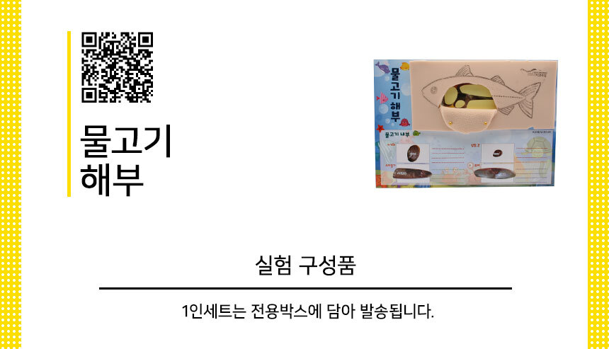 물고기해부 만들기 5인세트 물고기해부도만들기 DIY물고기해부도 물고기해부관찰 물고기해부실습 물고기해부학습 물고기해부공부 물고기해부조사 물고기내부학습 초등물고기해부도 어린이물고기해부도