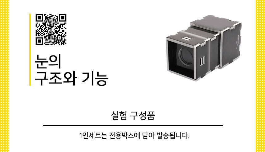 눈의구조와기능 카메라원리 만들기 5인세트 눈의구조와기능실험 눈의구조와기능관찰 눈의구조와기능키트 DIY눈의구조와기능 눈의구조와기능실습 어린이과학키트 키즈과학실험 카메라구조관찰 카메라구조원리 카메라구조실험