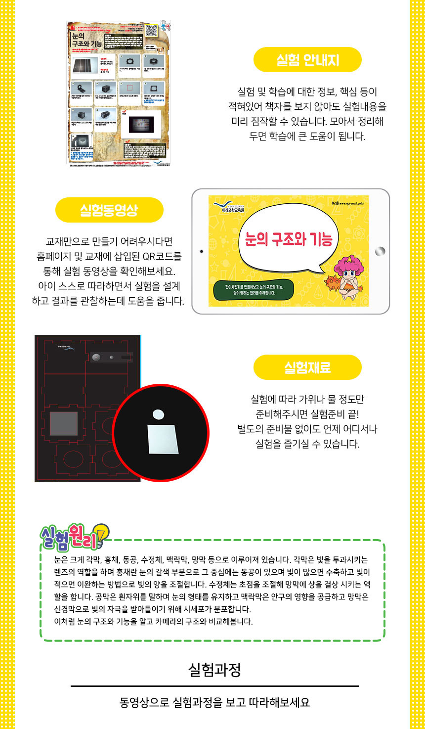 눈의구조와기능 카메라원리 만들기 5인세트 눈의구조와기능실험 눈의구조와기능관찰 눈의구조와기능키트 DIY눈의구조와기능 눈의구조와기능실습 어린이과학키트 키즈과학실험 카메라구조관찰 카메라구조원리 카메라구조실험