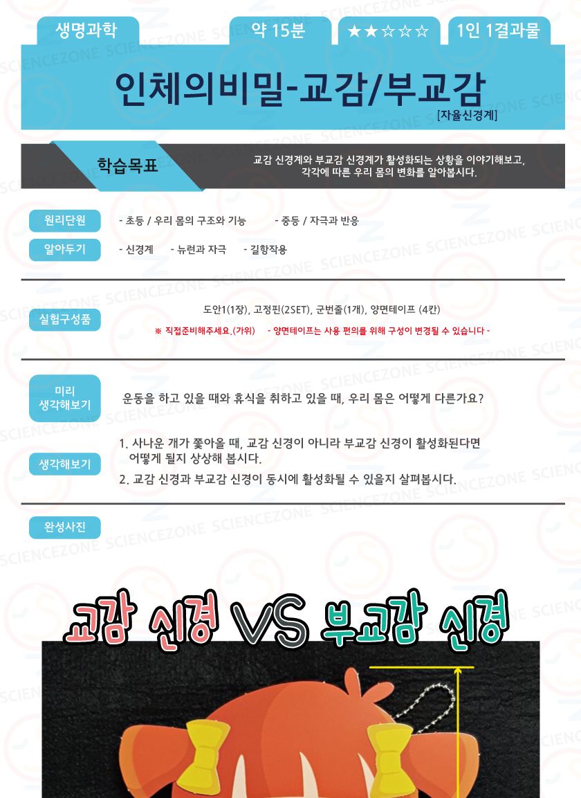 인체의비밀 - 교감 부교감 5인용 교감부교감학습교구 교감부교감학습 교감부교감 인체의비밀 과학교구 과학장난감 초등과학 초등과학교구 과학놀이 어린이과학교구