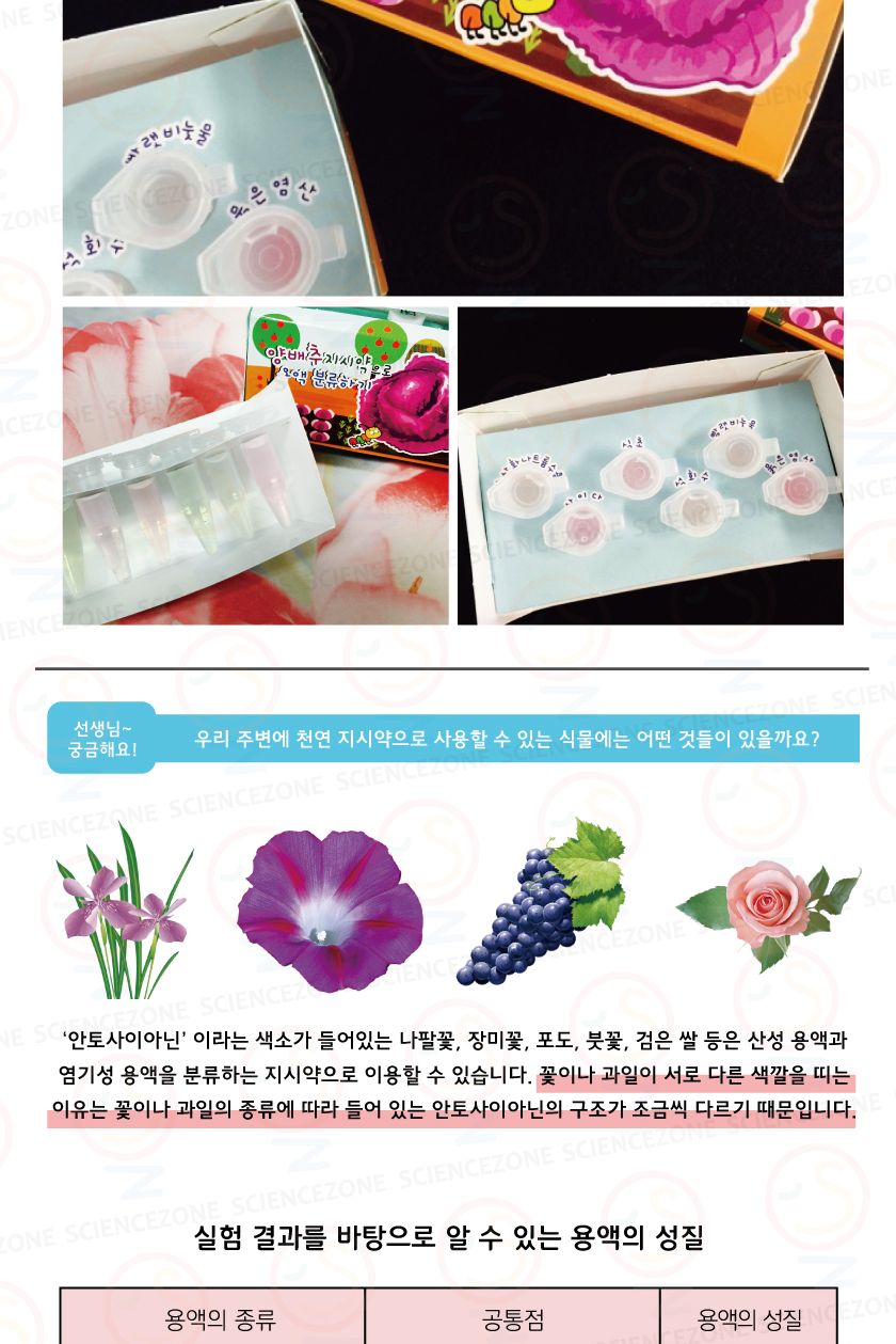 용액분류하기 붉은양배추지시약 5인용 키즈과학실험 어린이과학실험 초등교과실험 용액분류실험 산과염기원리 산과염기단원 지시약실험 용액의성질관찰 용액의성질실험 화학실험키트