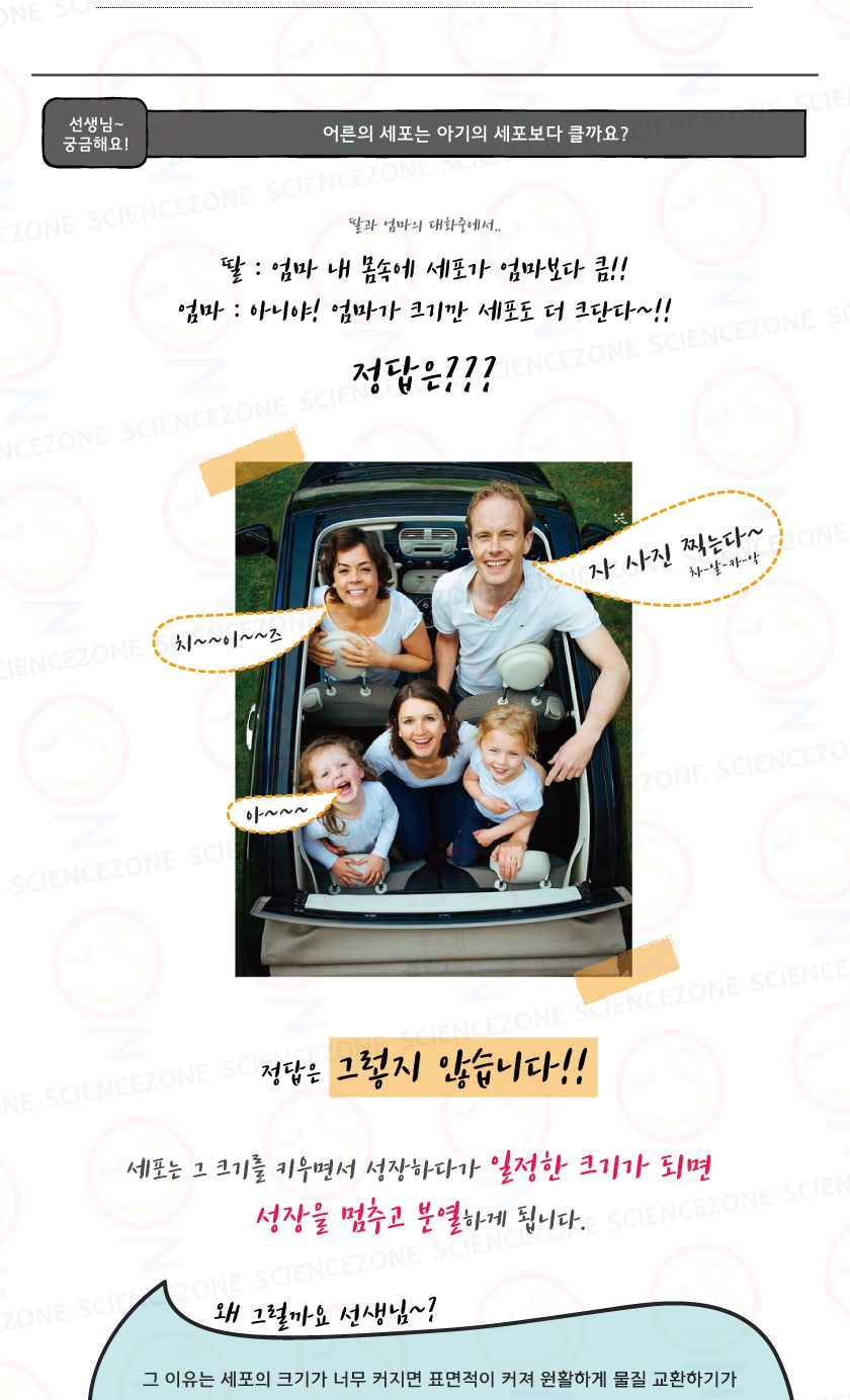 캡슐몬스터 세포주기 5인용 초등과학실험키트 키즈과학실험 어린이과학실험 초등교과실험 생식과발생실험 우리몸의구조와기능 세포학습교구 세포실습교구 세포주기학습교구 생명과학교구 초등세포과학교구