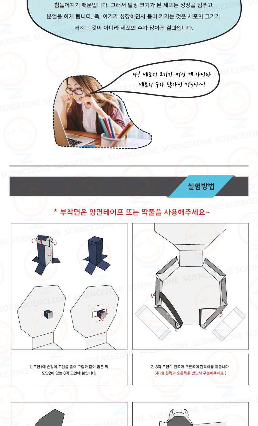 캡슐몬스터 세포주기 5인용 초등과학실험키트 키즈과학실험 어린이과학실험 초등교과실험 생식과발생실험 우리몸의구조와기능 세포학습교구 세포실습교구 세포주기학습교구 생명과학교구 초등세포과학교구