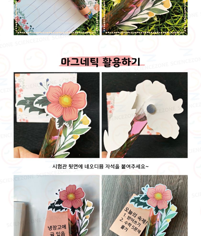 수중미니정원 5인용 초등과학실험키트 수중미니정원만들기 수중정원키트 용해와용액학습 물질의특성학습 용해실험 용액실험 용해도실험키트 용해도와재결정실험 키즈과학실험 어린이과학실험 초등교과실험