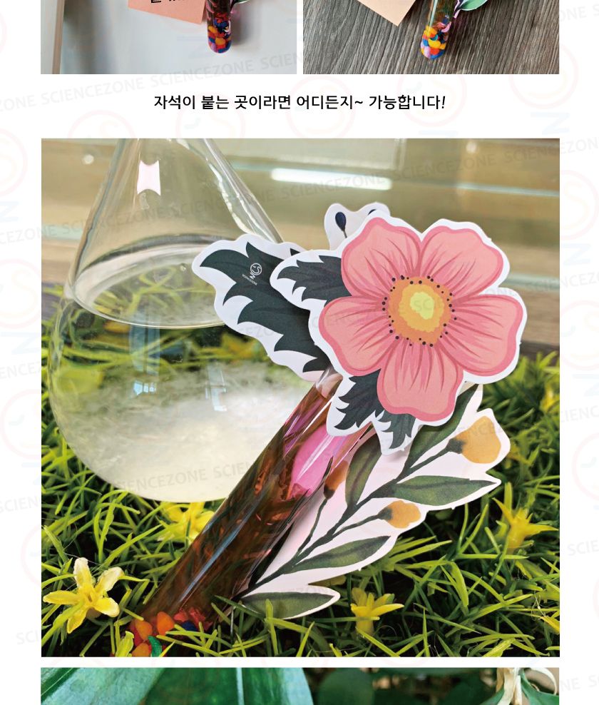 수중미니정원 5인용 초등과학실험키트 수중미니정원만들기 수중정원키트 용해와용액학습 물질의특성학습 용해실험 용액실험 용해도실험키트 용해도와재결정실험 키즈과학실험 어린이과학실험 초등교과실험