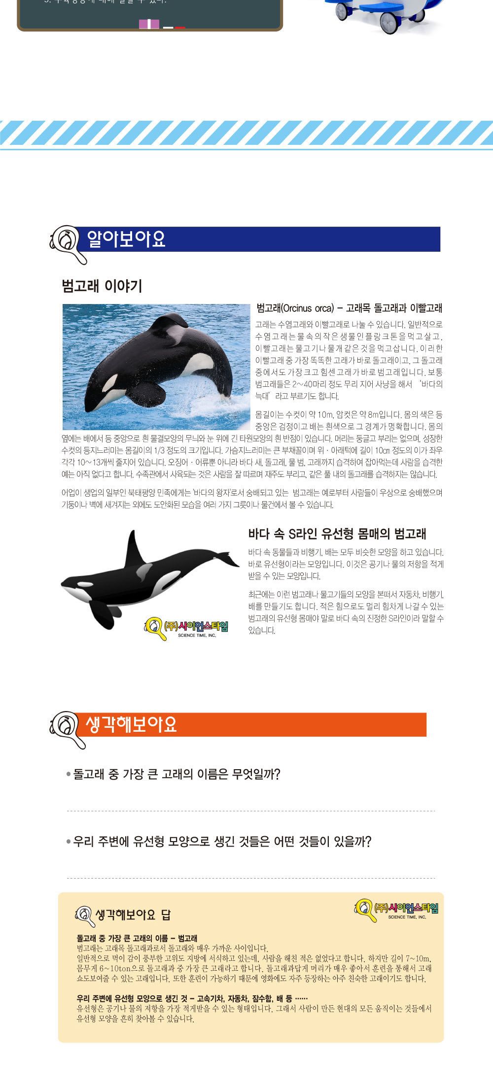 수륙양용 범고래 로봇 만들기 자연생태환경과학키트 고래로봇만들기 로보트만들기 DIY돌고래로봇 범고래로봇만들기 수륙양용만들기 DIY수륙양용 수륙양용실험 수륙양용조립 수륙양용실습