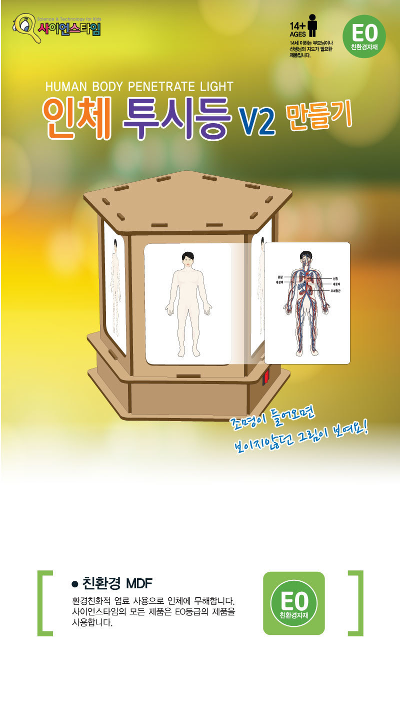 인체투시등 V2 만들기 교구 만들기교구 과학교구 과학만들기 과학만들기세트 과학만들기재료 초등학습교구 과학방과후재료 과학공작완구 과학공작재료