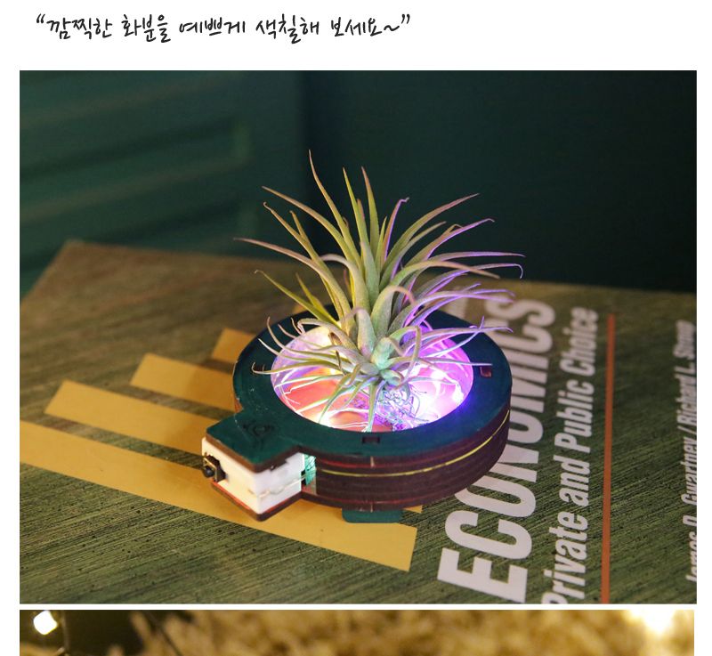 LED 공기 정화 화분 탄소중립 과학상자 과학교구 과학만들기 과학장난감 화분 공기정화화분 LED공기정화식물화분 공기정화식물화분 LED화분 LED공기정화화분