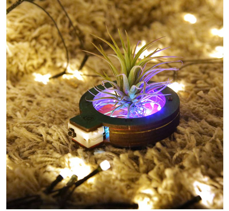 LED 공기 정화 화분 탄소중립 과학상자 과학교구 과학만들기 과학장난감 화분 공기정화화분 LED공기정화식물화분 공기정화식물화분 LED화분 LED공기정화화분