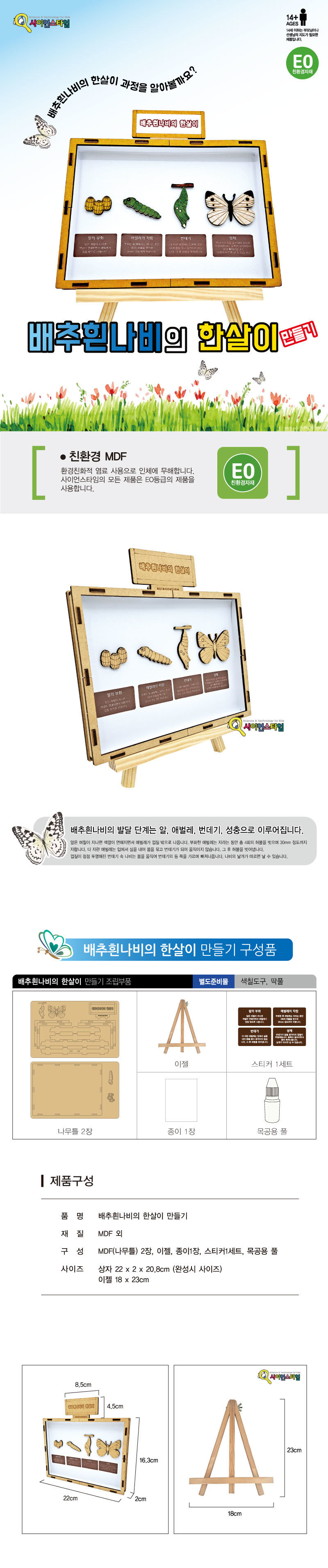 배추흰나비의 한살이 만들기 브로마이드 제공 곤충 곤충학습교구 곤충학습 곤충관찰교구 곤충관찰 한살이 한살이만들기 배추흰나비한살이 배추흰나비한살이만들기 배추흰나비한살이제작키트