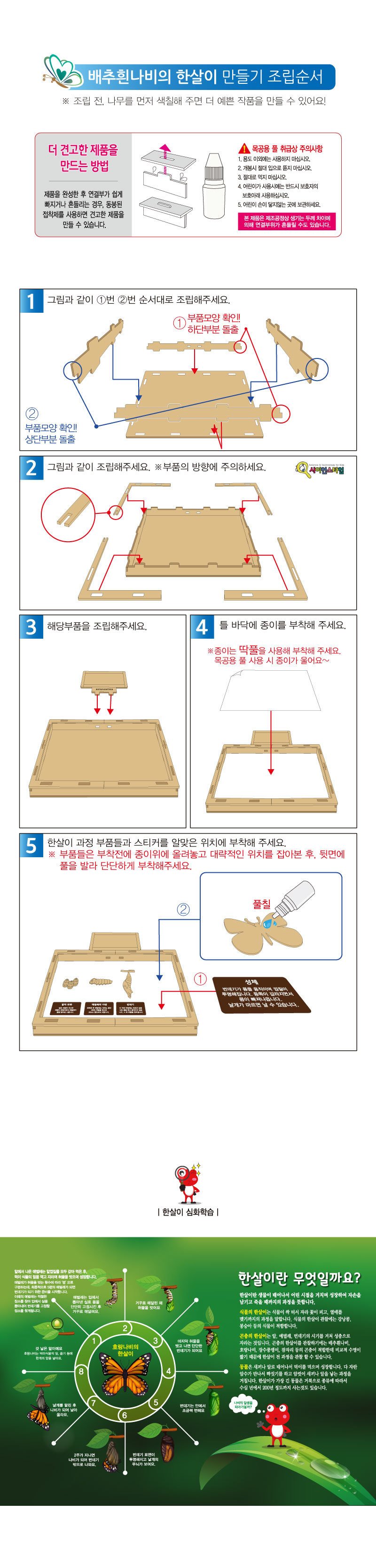 배추흰나비의 한살이 만들기 브로마이드 제공 곤충 곤충학습교구 곤충학습 곤충관찰교구 곤충관찰 한살이 한살이만들기 배추흰나비한살이 배추흰나비한살이만들기 배추흰나비한살이제작키트