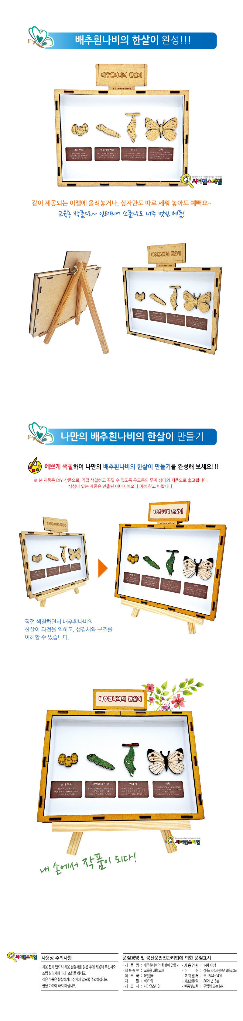 배추흰나비의 한살이 만들기 브로마이드 제공 곤충 곤충학습교구 곤충학습 곤충관찰교구 곤충관찰 한살이 한살이만들기 배추흰나비한살이 배추흰나비한살이만들기 배추흰나비한살이제작키트