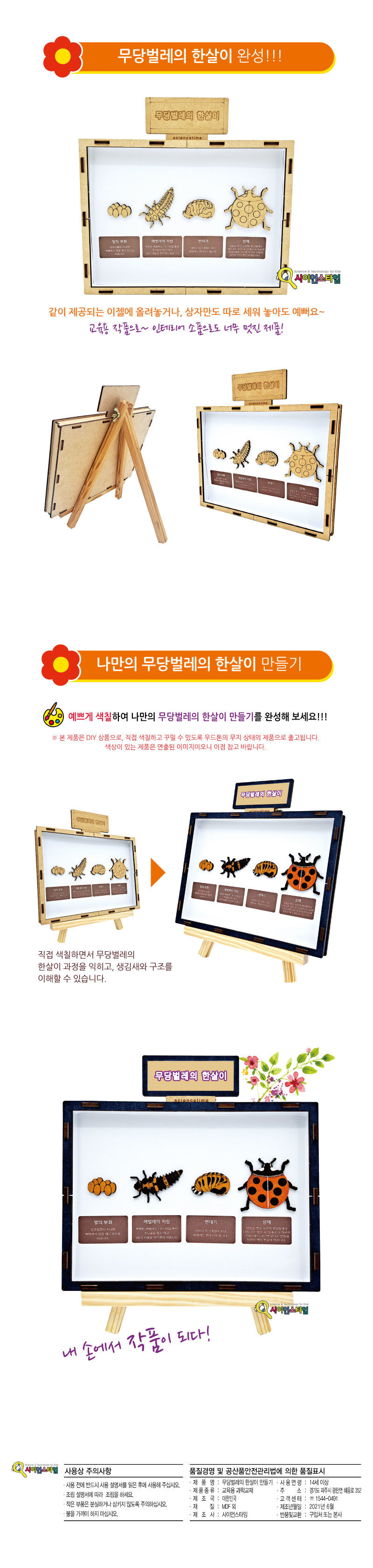 무당벌레의 한살이 만들기 브로마이드 제공 곤충 곤충학습교구 곤충학습 곤충관찰교구 곤충관찰 한살이 한살이만들기 무당벌레한살이 무당벌레한살이만들기 무당벌레한살이제작키트