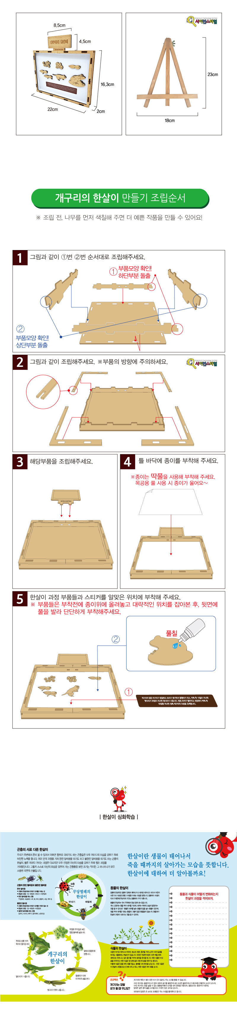 개구리의 한살이 만들기학습용 브로마이드 제공 개구리일생학습 개굴이한살이키트 개구리한살이키트 개구리한살이과정 개구리관찰교구 개일이일생관찰 초등과학교구 어린이과학교구 키즈과학교구 DIY개굴이한살이