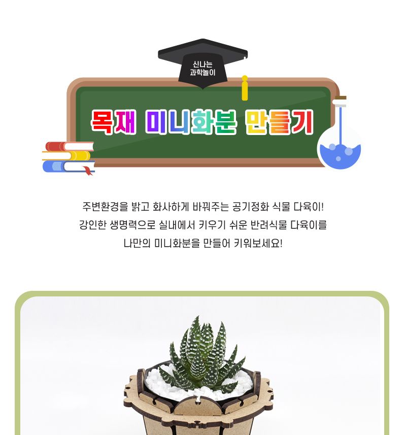 목재 미니 화분 만들기 4인 세트 다육이 포함 과학수업교구 과학수업키트 과학교구 과학학습교구 과학놀이 과학장난감 과학만들기 만들기장난감 만들기놀이 미니화분만들기 다육이화분 다육이화분만들기