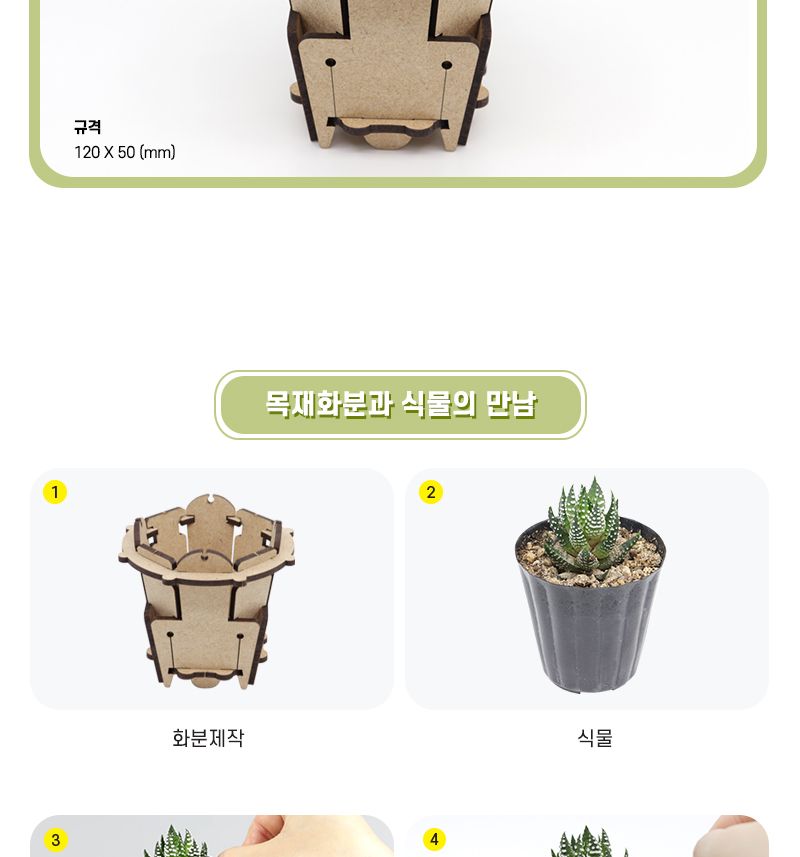 목재 미니 화분 만들기 4인 세트 다육이 포함 과학수업교구 과학수업키트 과학교구 과학학습교구 과학놀이 과학장난감 과학만들기 만들기장난감 만들기놀이 미니화분만들기 다육이화분 다육이화분만들기