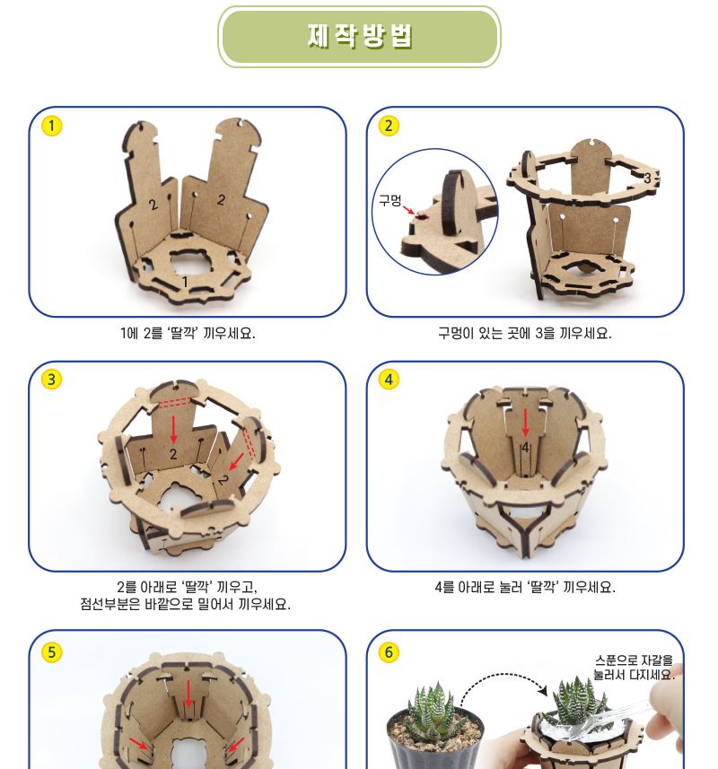 목재 미니 화분 만들기 4인 세트 다육이 포함 과학수업교구 과학수업키트 과학교구 과학학습교구 과학놀이 과학장난감 과학만들기 만들기장난감 만들기놀이 미니화분만들기 다육이화분 다육이화분만들기
