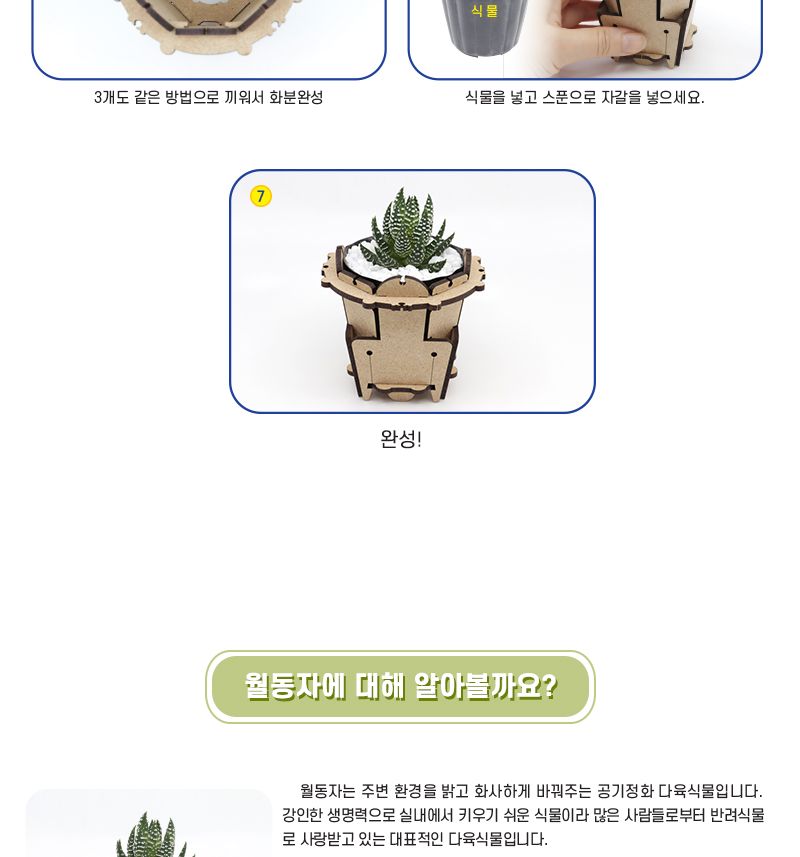 목재 미니 화분 만들기 4인 세트 다육이 포함 과학수업교구 과학수업키트 과학교구 과학학습교구 과학놀이 과학장난감 과학만들기 만들기장난감 만들기놀이 미니화분만들기 다육이화분 다육이화분만들기