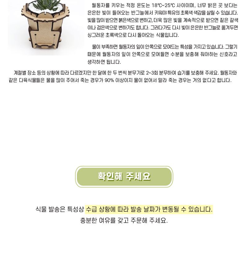 목재 미니 화분 만들기 4인 세트 다육이 포함 과학수업교구 과학수업키트 과학교구 과학학습교구 과학놀이 과학장난감 과학만들기 만들기장난감 만들기놀이 미니화분만들기 다육이화분 다육이화분만들기