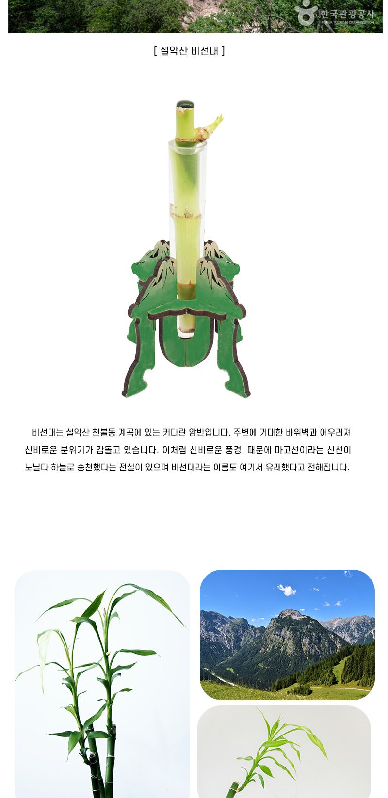 비선대 개운죽 5인 세트 개운죽 비선대개운죽 개운죽장식만들기 과학상자 과학장난감 과학놀이 만들기키트 과학만들기키트 DIY만들기 초등DIY만들기 DIY과학만들기