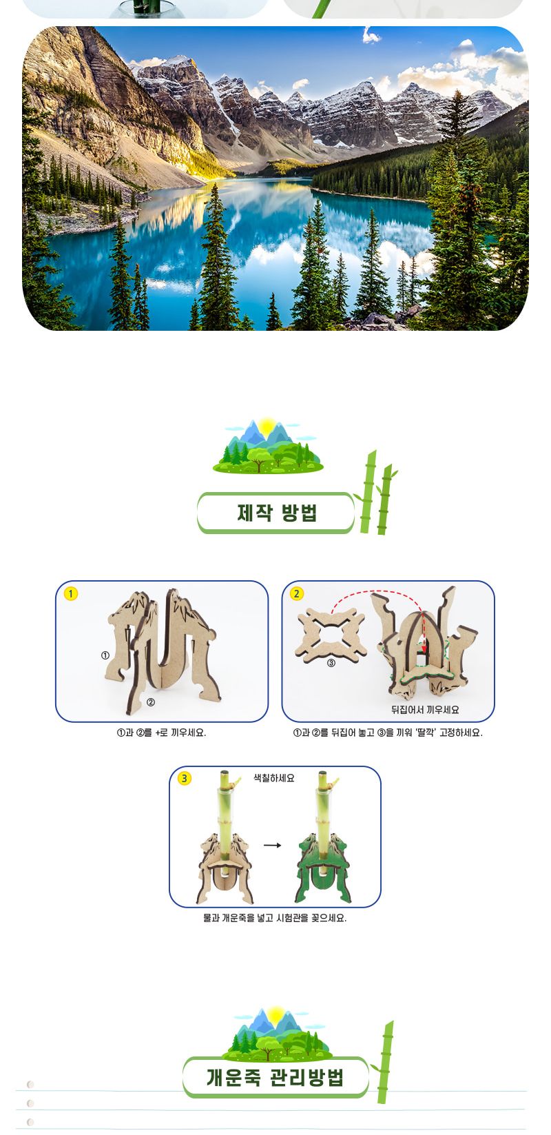 비선대 개운죽 5인 세트 개운죽 비선대개운죽 개운죽장식만들기 과학상자 과학장난감 과학놀이 만들기키트 과학만들기키트 DIY만들기 초등DIY만들기 DIY과학만들기