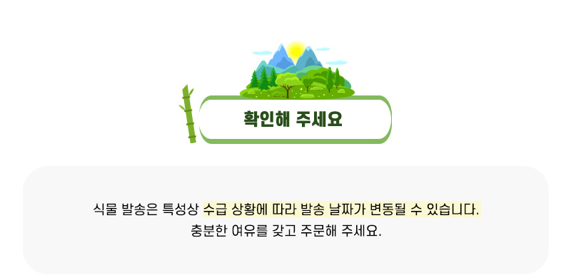 비선대 개운죽 5인 세트 개운죽 비선대개운죽 개운죽장식만들기 과학상자 과학장난감 과학놀이 만들기키트 과학만들기키트 DIY만들기 초등DIY만들기 DIY과학만들기