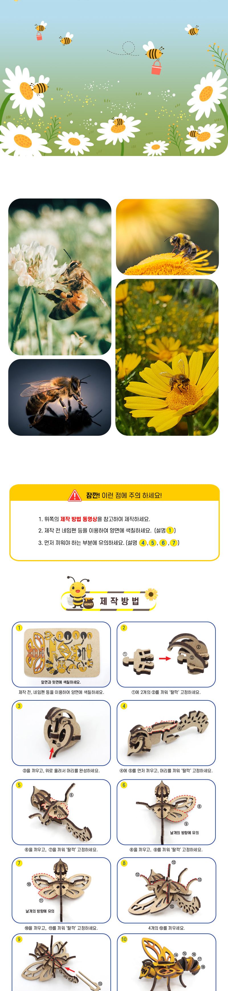 꿀벌 만들기 꿀벌만들기 과학수업교구 곤충학습교구 곤충학습 곤충모형만들기 꿀벌학습교구 과학수업키트 과학교구 과학학습교구 과학놀이 과학장난감 과학만들기 만들기장난감 만들기놀이