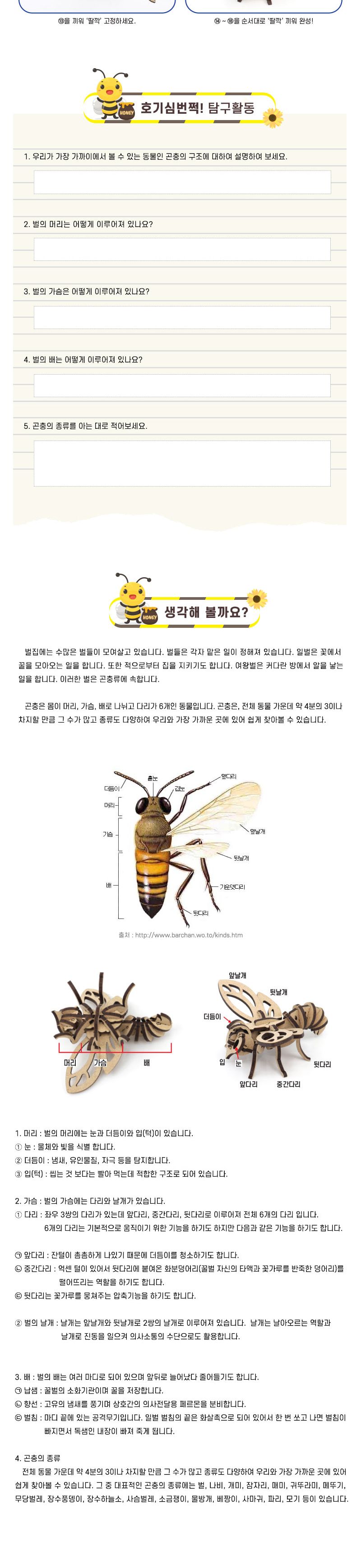 꿀벌 만들기 꿀벌만들기 과학수업교구 곤충학습교구 곤충학습 곤충모형만들기 꿀벌학습교구 과학수업키트 과학교구 과학학습교구 과학놀이 과학장난감 과학만들기 만들기장난감 만들기놀이