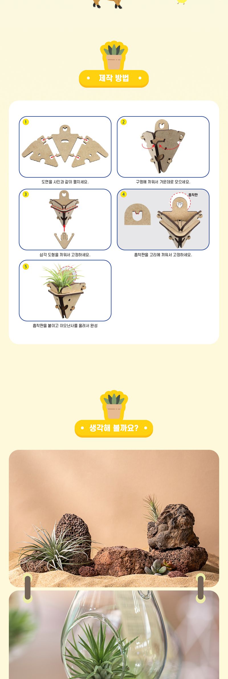 벽걸이 이오 난사 5인 세트 틸란드시아이오난사 과학상자 과학장난감 과학놀이 만들기키트 과학만들기키트 DIY만들기 초등DIY만들기 과학DIY만들기 이오난사 벽걸이이오난사