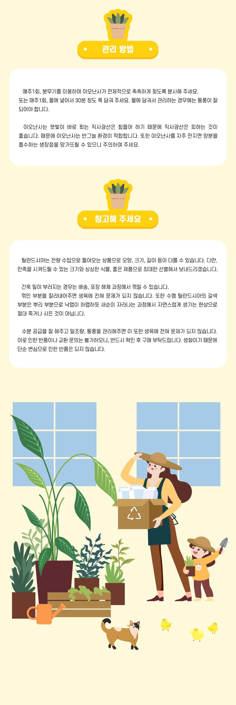 벽걸이 이오 난사 5인 세트 틸란드시아이오난사 과학상자 과학장난감 과학놀이 만들기키트 과학만들기키트 DIY만들기 초등DIY만들기 과학DIY만들기 이오난사 벽걸이이오난사