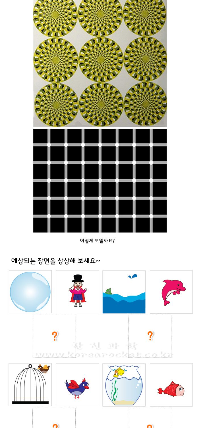 비눗방울 속 마법사 4인 세트 잔상현상실험 잔상현상실습교구 과학실험교구 초등실험교구 초등잔상실험 비눗방울잔상실험 만화영화실험 잔상현상학습 잔상현상원리 어린이잔상현상실험