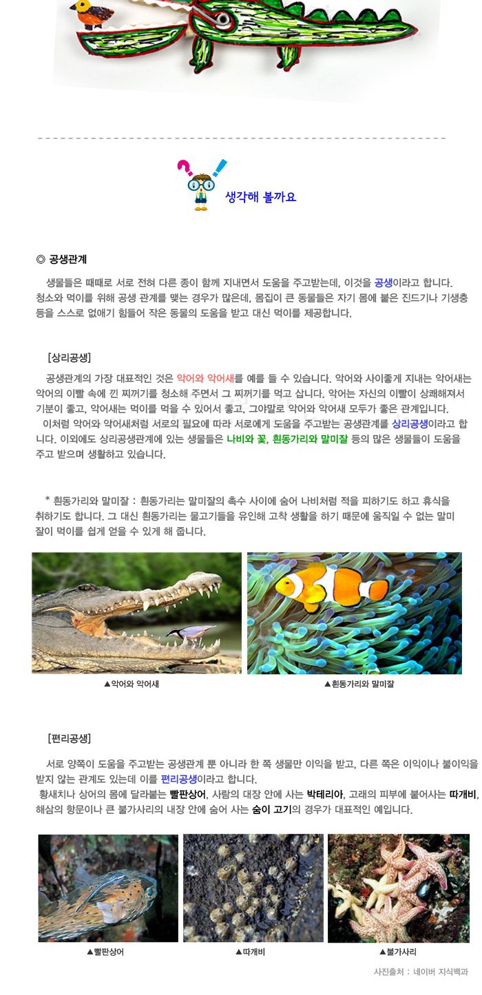 악어와 악어새 5인 세트 무게중심학습 무게중심실험 무게중심교육 무게중심원리탐구 초등과학교구 어린이과학교구 키즈과학교구 악어와악어새만들기 학원과학교구 학교과학실험